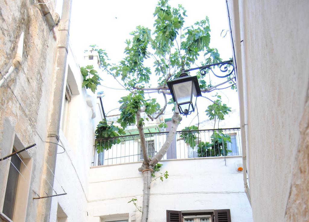 Il Claustro - Bed And Breakfast Altamura Exterior photo